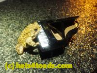 /home//u458753944/public_html/sourcegallery//////////Roxborough Toad Detour/2023/2023-04-01/P4010650.JPG